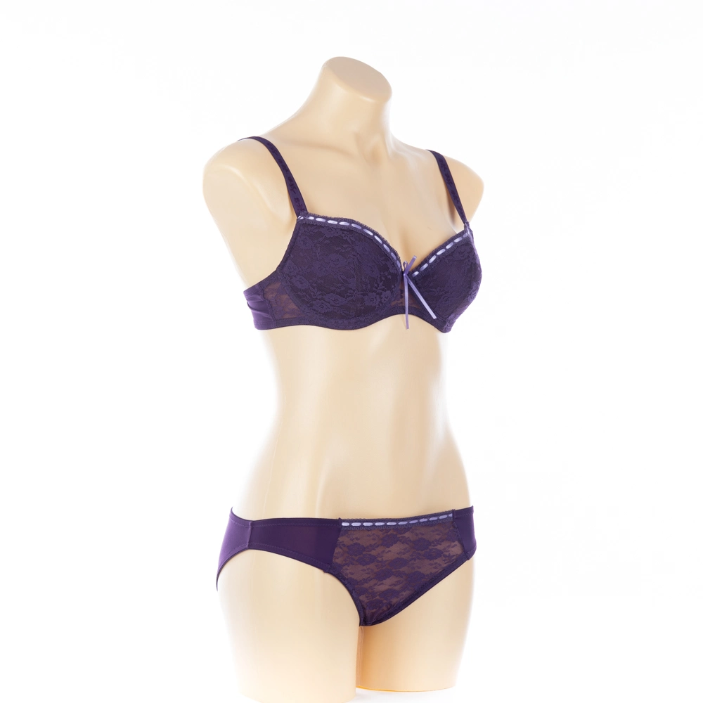 High Quality OEM Lady Bra and Panty Set Women Lingerie (JMC25045)