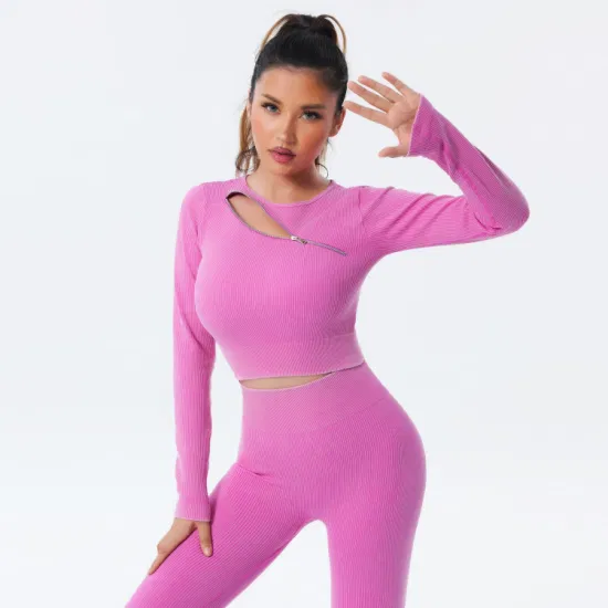 Melhor venda conjunto de roupas esportivas de fitness sem costura roupas de treino feminino ginásio activewear