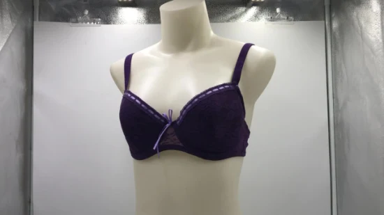 Senhora OEM de alta qualidade conjunto de sutiã e calcinha lingerie feminina (JMC25045)